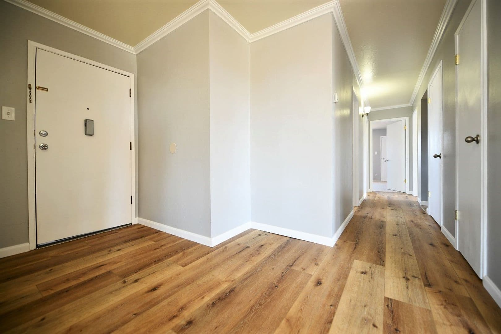 Oakland Apartment: 398 Euclid Avenue
