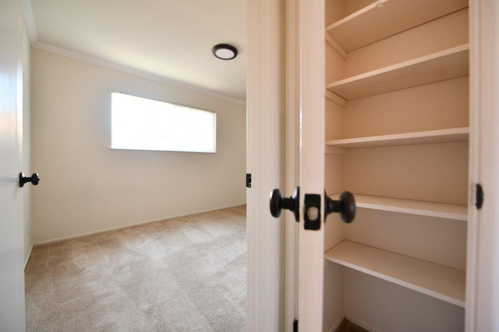 Oakland Apartment: 524 E. 17th Street