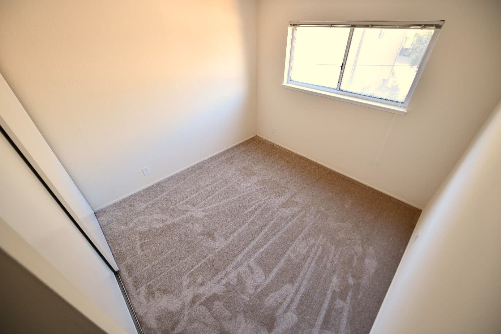 Berkeley Apartment: 1921 Francisco Street