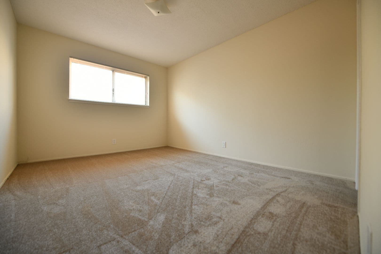 Berkeley Apartment: 1921 Francisco Street