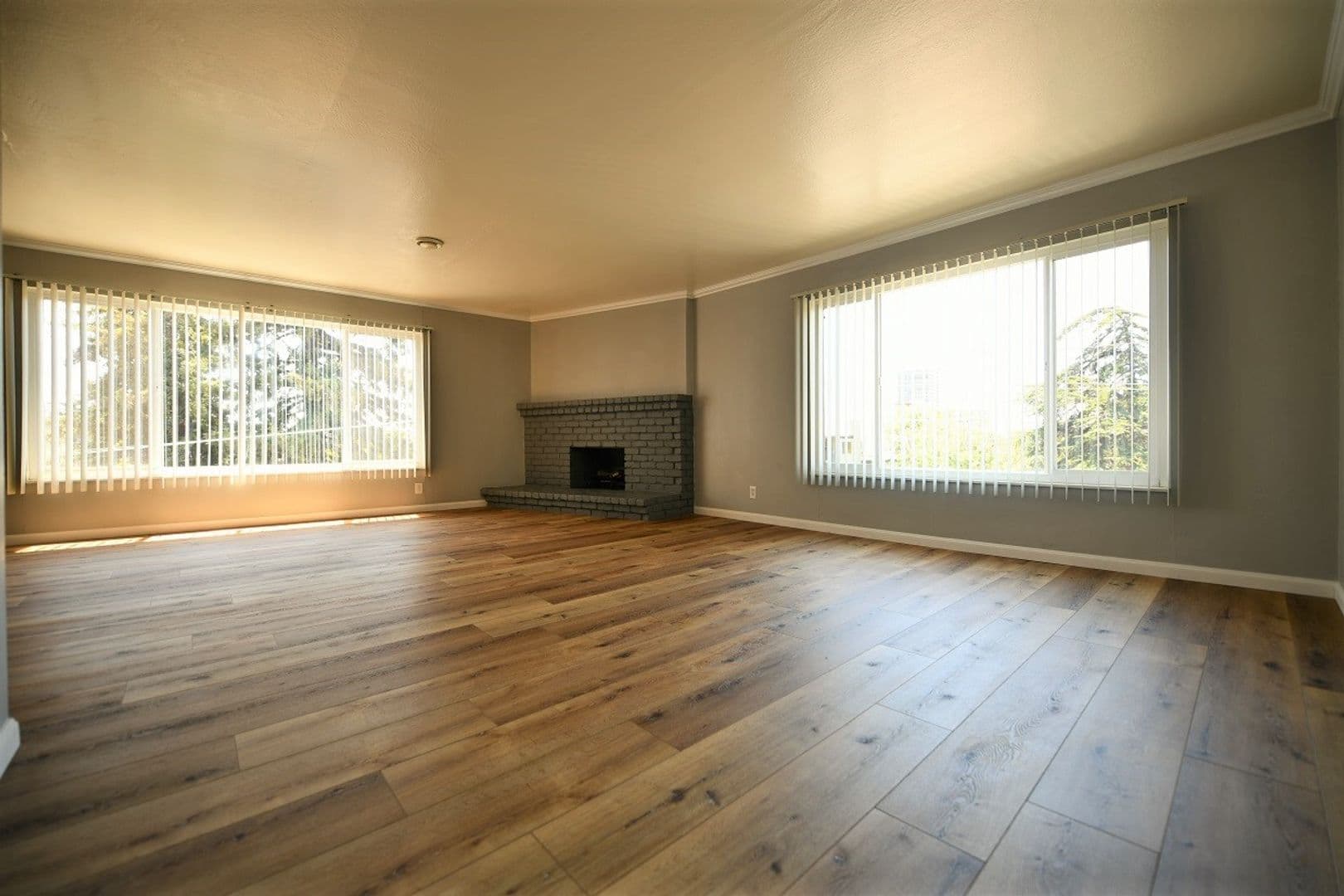 Oakland Apartment: 398 Euclid Avenue