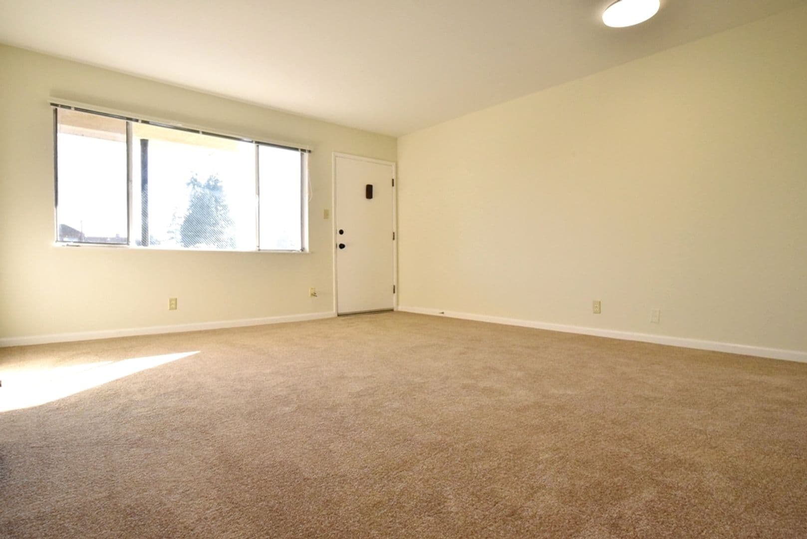 Berkeley Apartment: 2132 Roosevelt Avenue