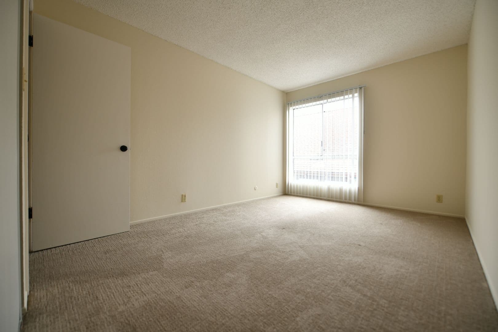Berkeley Apartment: 2725 Haste Street