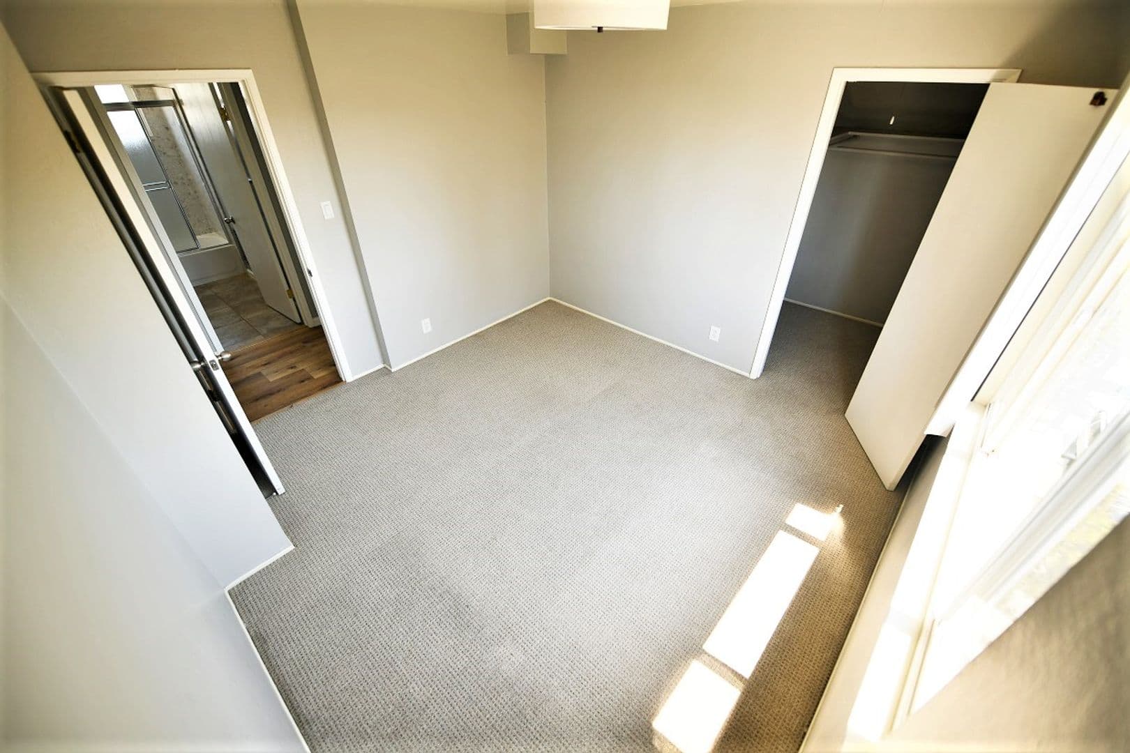 Oakland Apartment: 398 Euclid Avenue