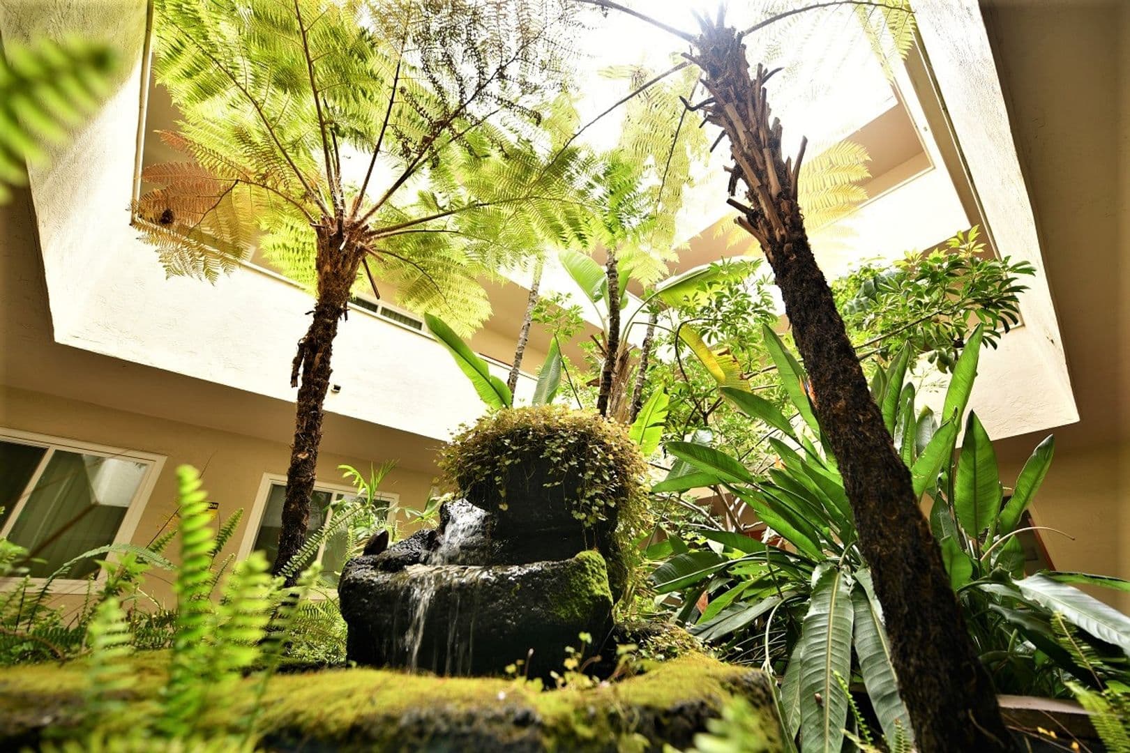 San Leandro Apartment: 65 Thornton Street