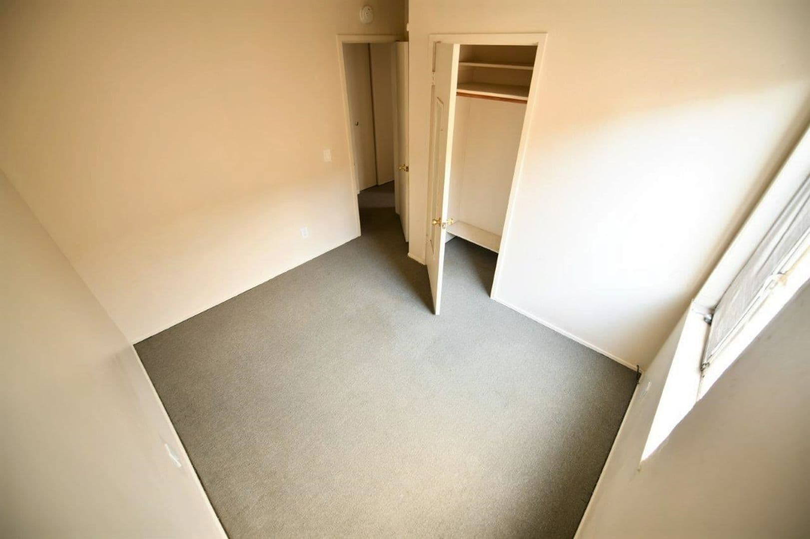 Berkeley Apartment: 2430 Dwight Way/2550 Telegraph Avenue