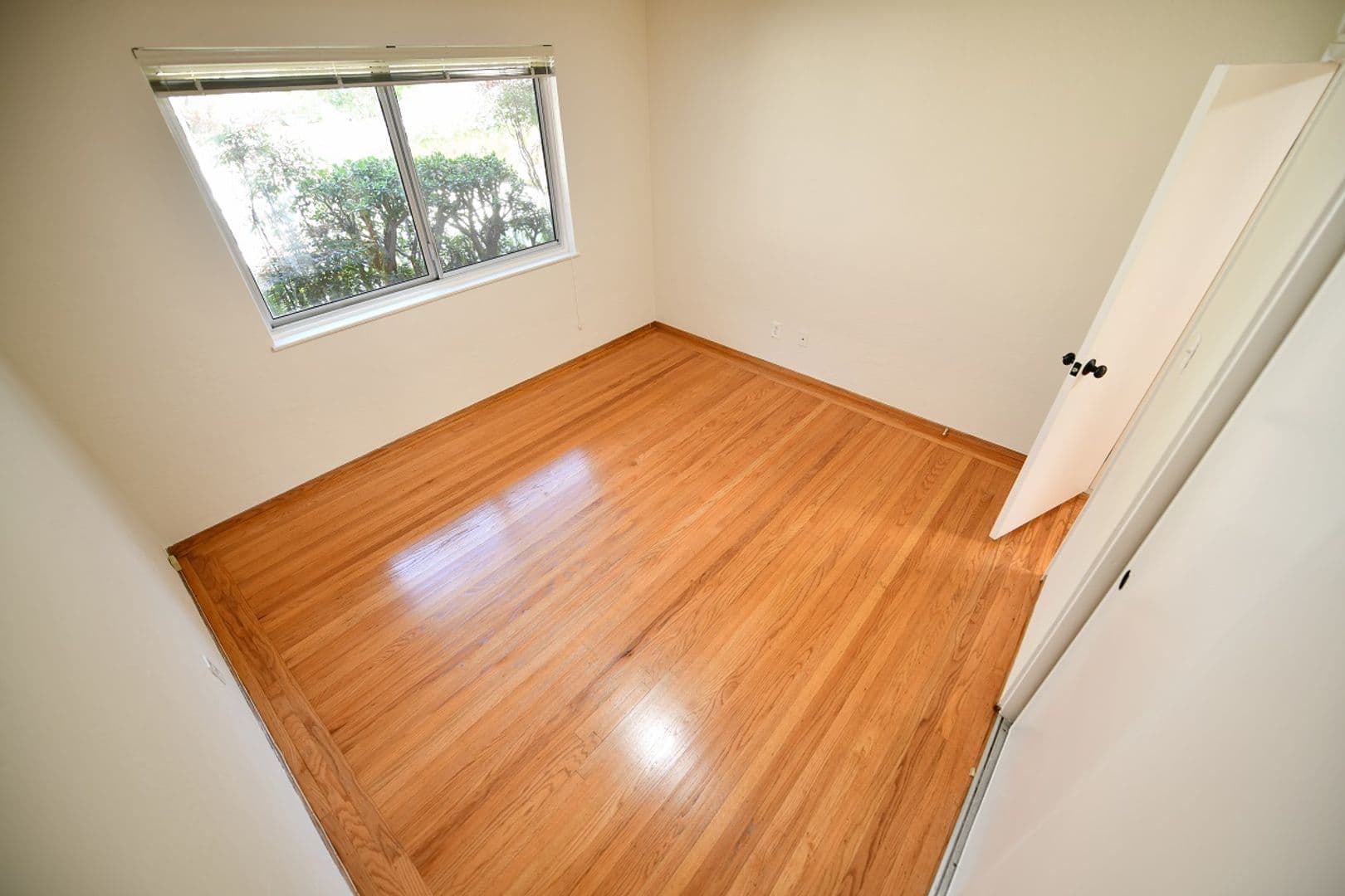 Oakland Apartment: 96 Linda Avenue