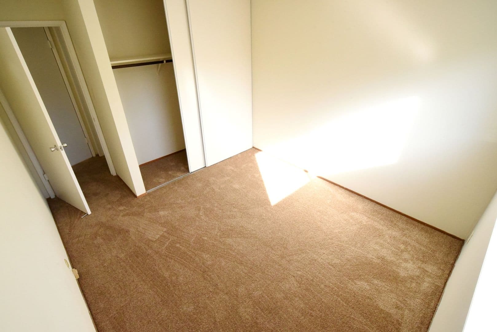 Berkeley Apartment: 1921 Francisco Street