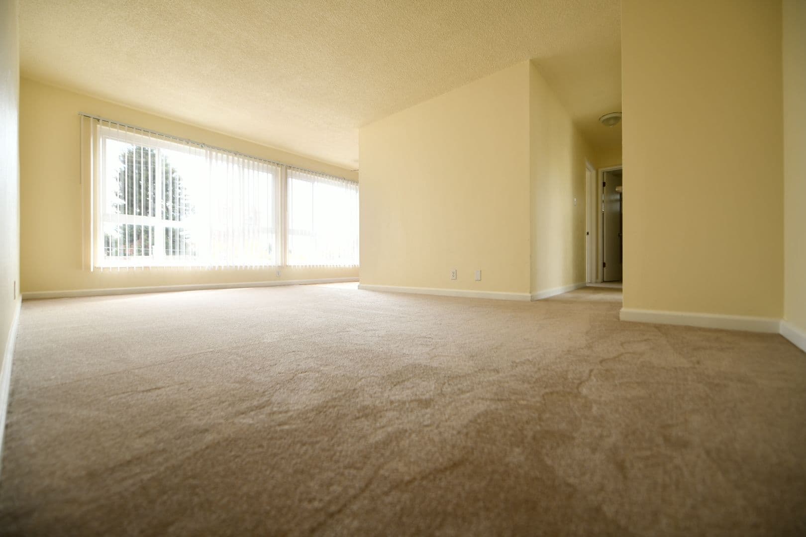 Oakland Apartment: 433 Perkins Street