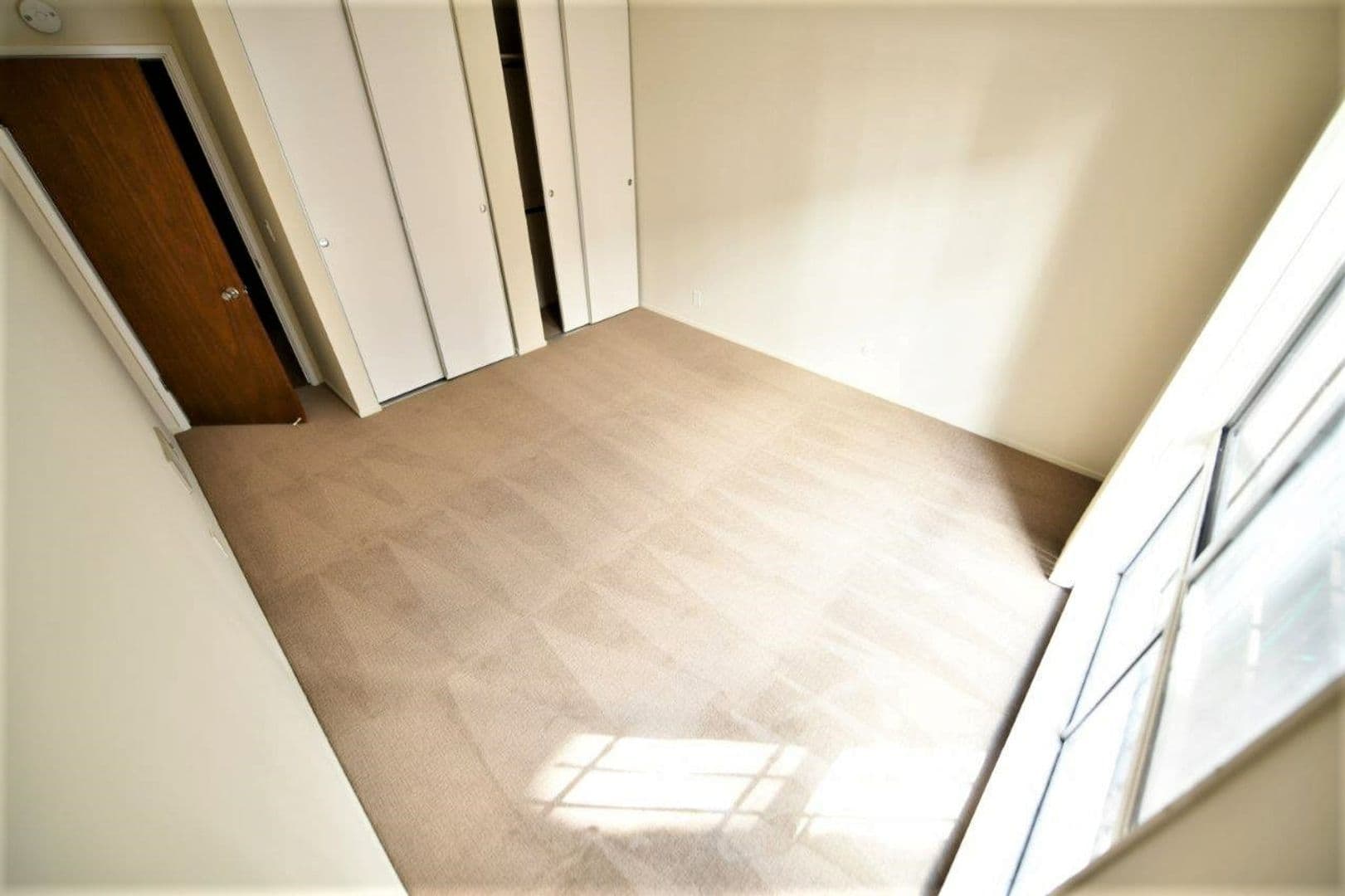 Oakland Apartment: 366 Euclid Avenue