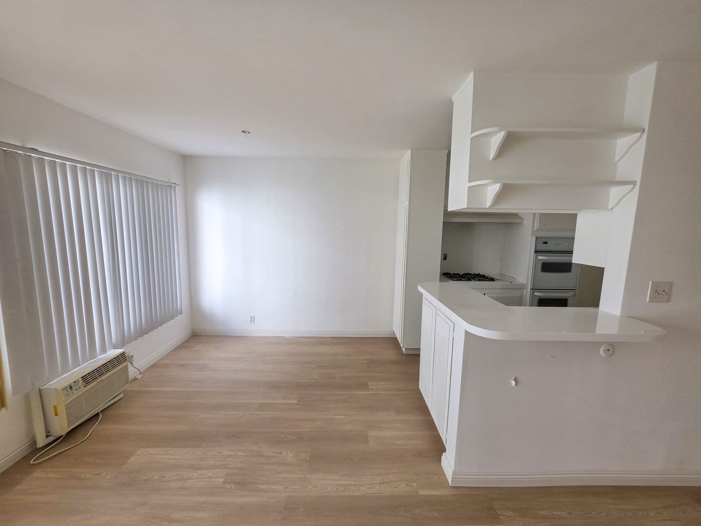 Los Angeles Apartment: 815 S. Wooster Street