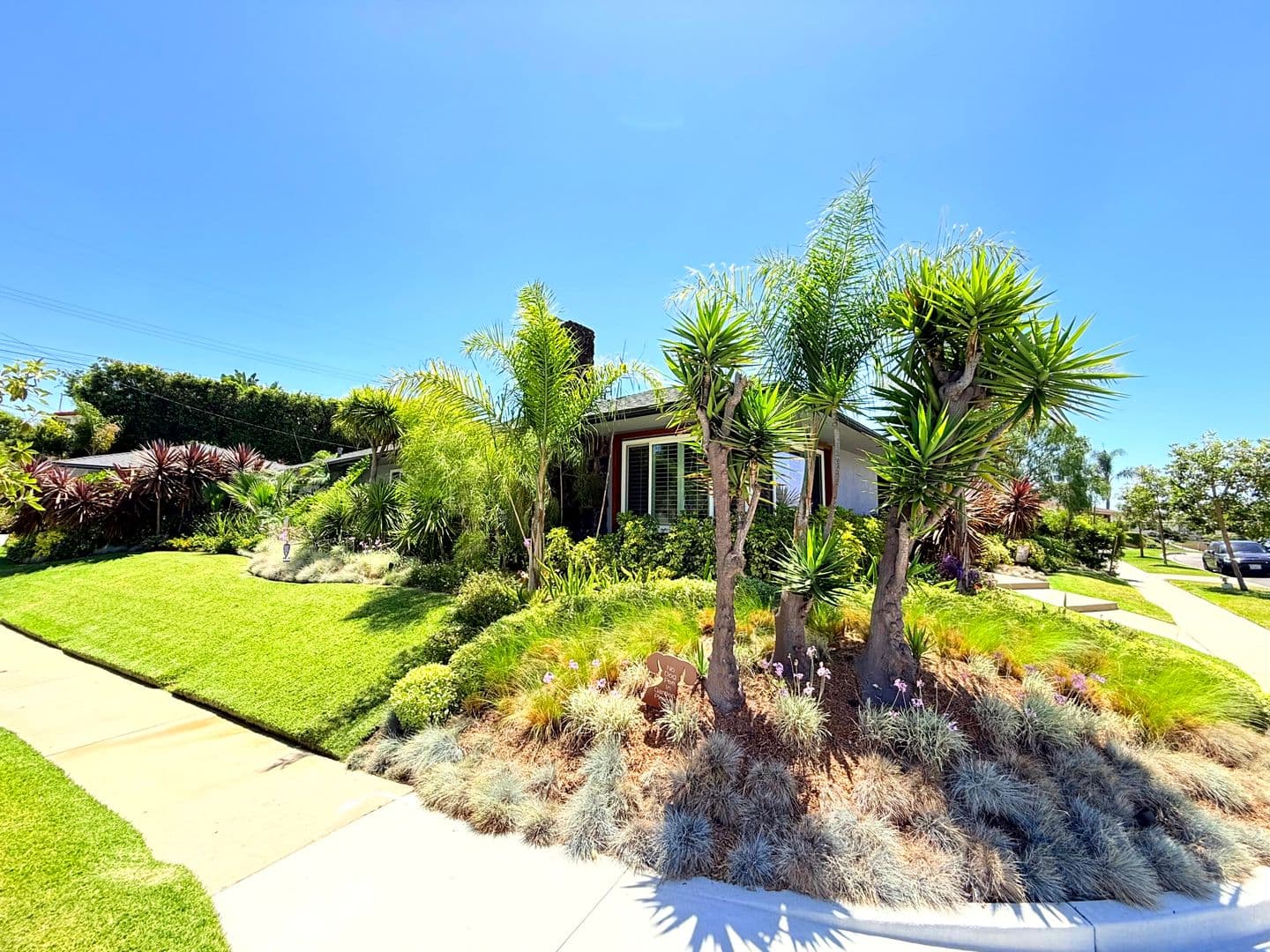 Los Angeles House: 5500 Shenandoah Avenue