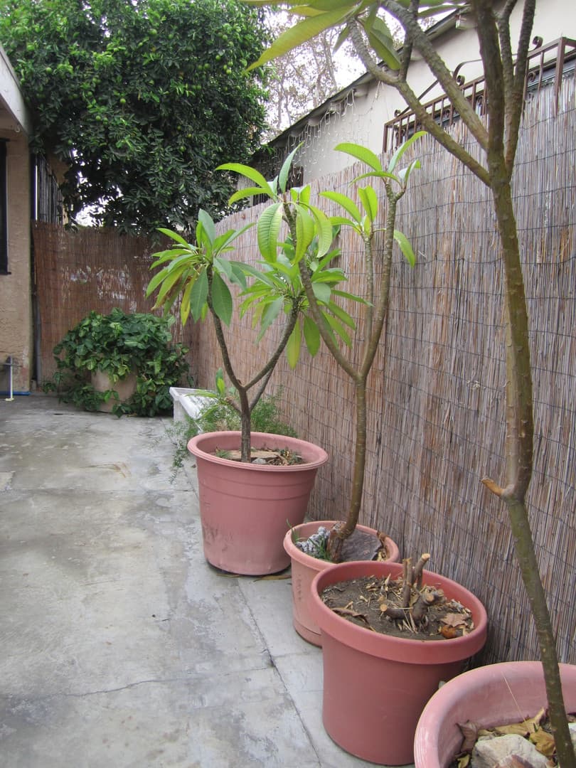 East Los Angeles Apartment: 6165-6167 E Olympic Blvd