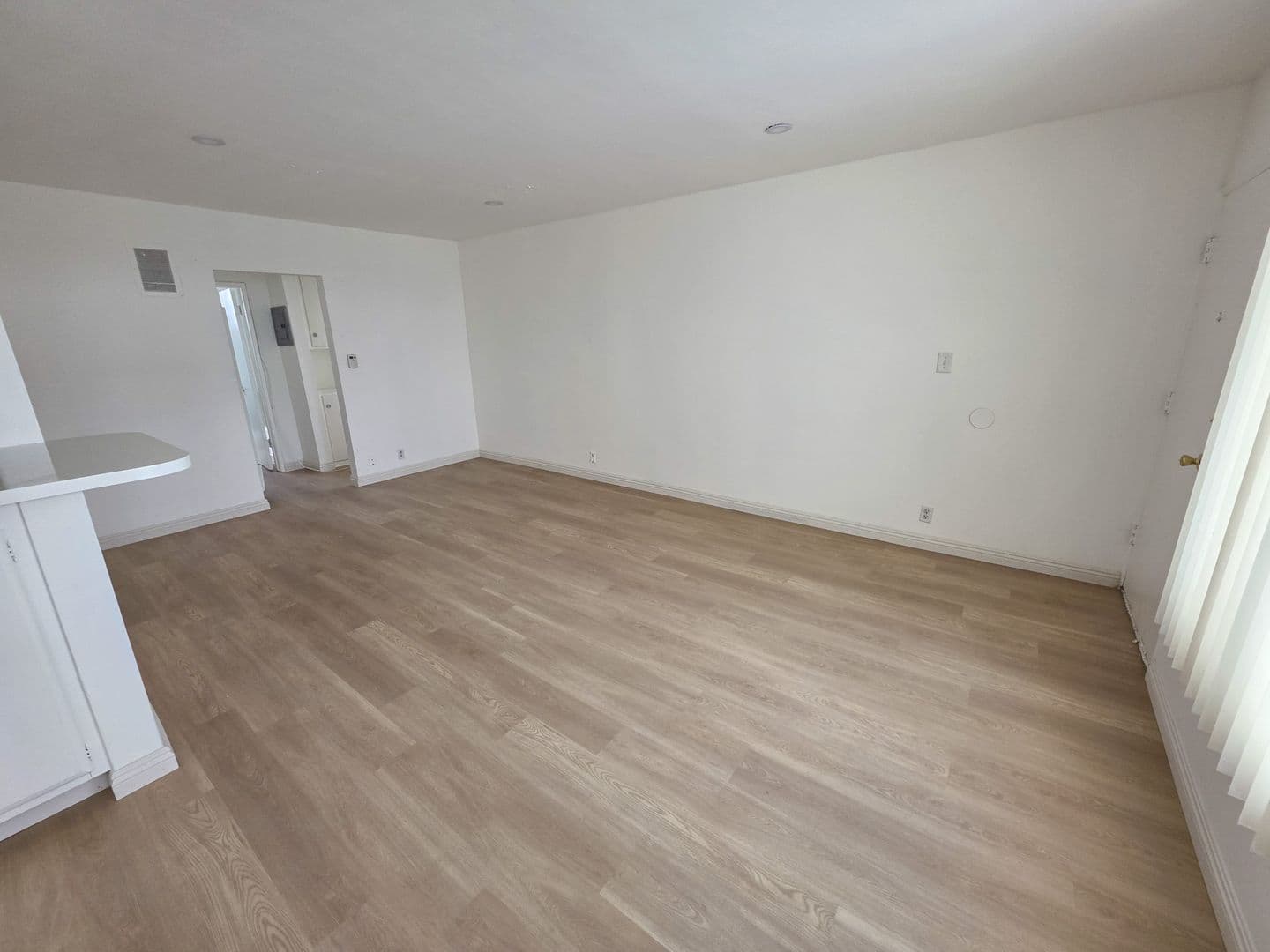 Los Angeles Apartment: 815 S. Wooster Street