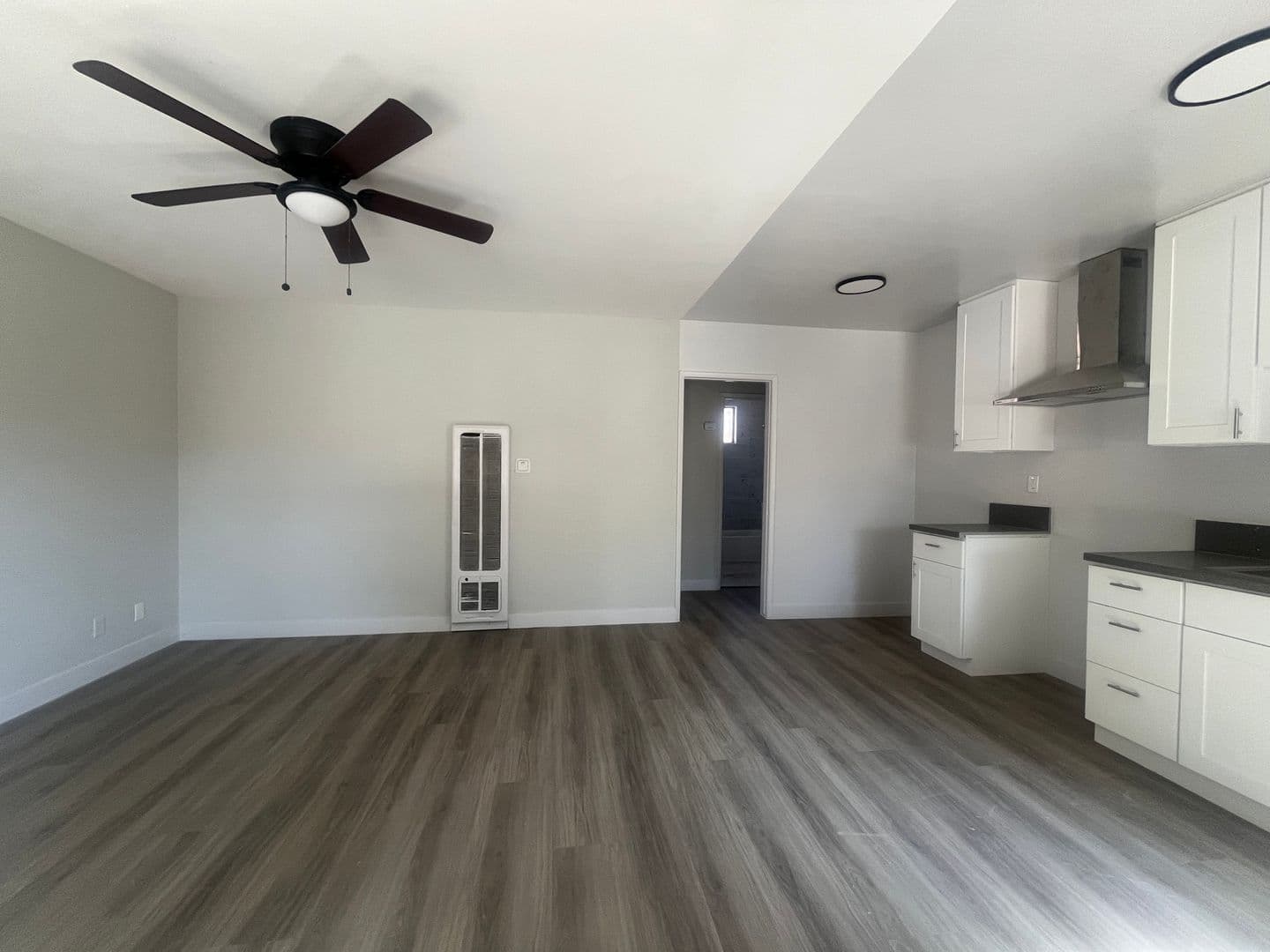 Los Angeles Apartment: 1043 W. 95th Street