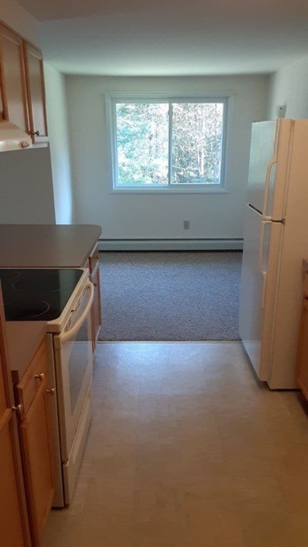 Sidney Apartment: 220 Fox Street