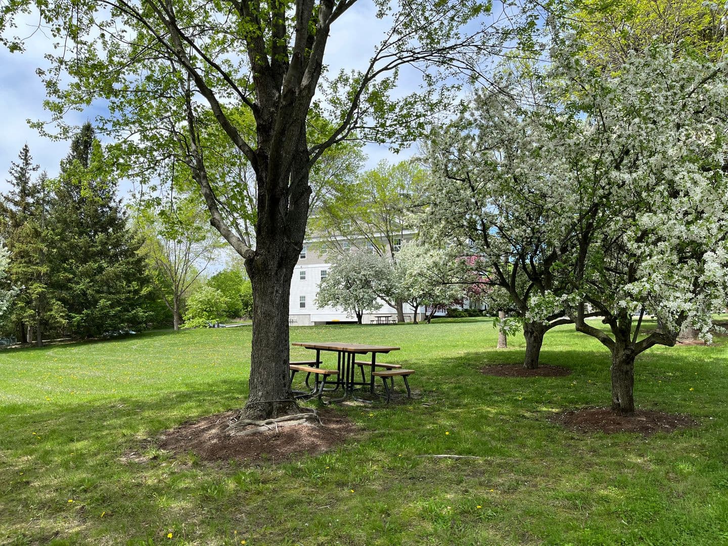 South Burlington Apartment: Olde Orchard Park