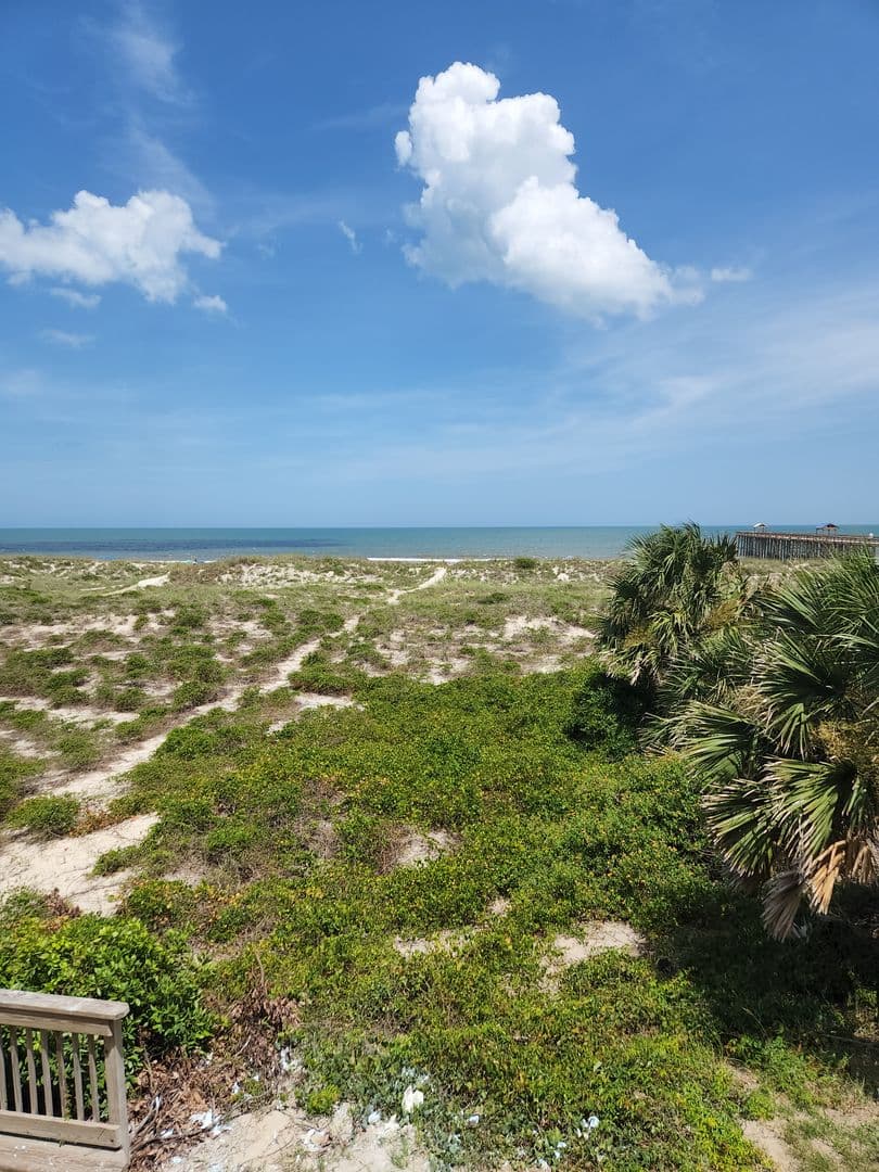 Fernandina Beach House: 3200 S. Fletcher Avenue - D2