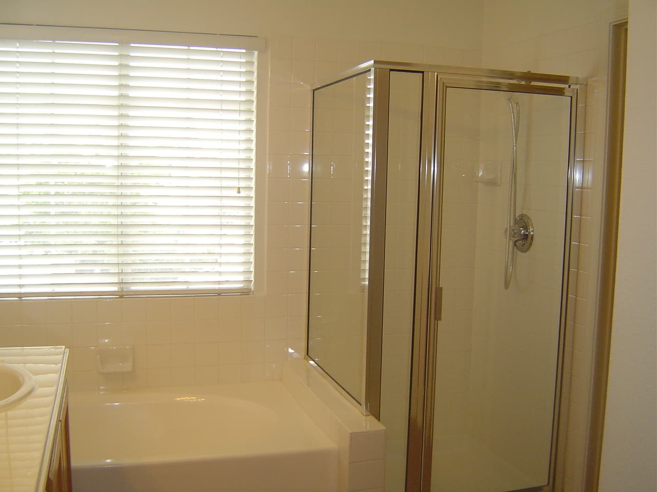 Las Vegas House: 10129 Desert Wind
