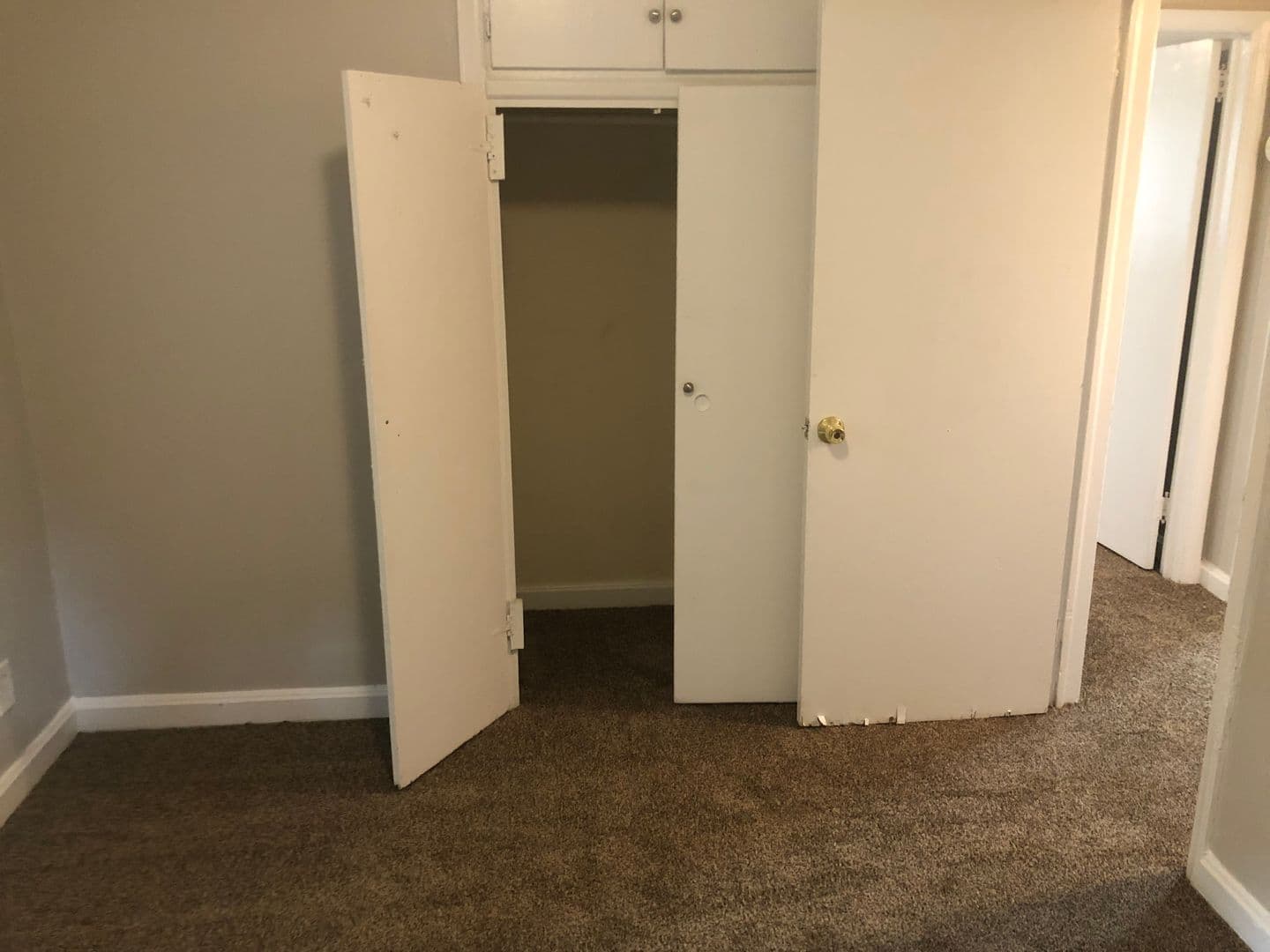 Charlotte Apartment: 937 Norland Road