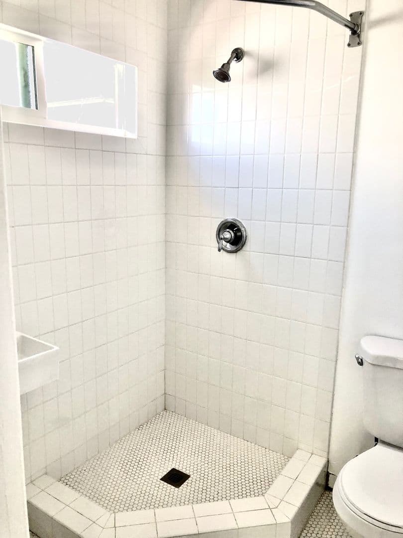 Los Angeles Apartment: 1006 N El Centro Avenue