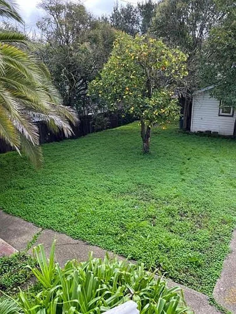 Vallejo Apartment: 325 Ohio Street