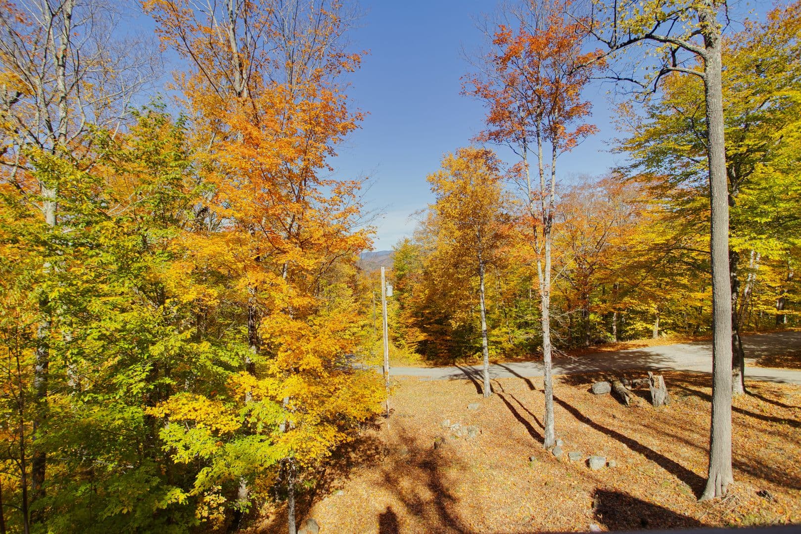 Campton House: 157 Summit Dr