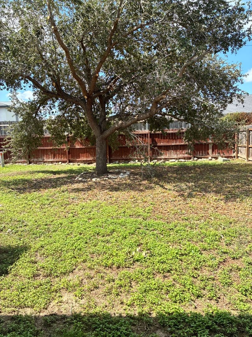 McAllen House: 3503 N. 41st Lane