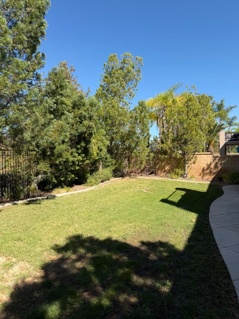 Murrieta House: O26919 Lemon Grass Way