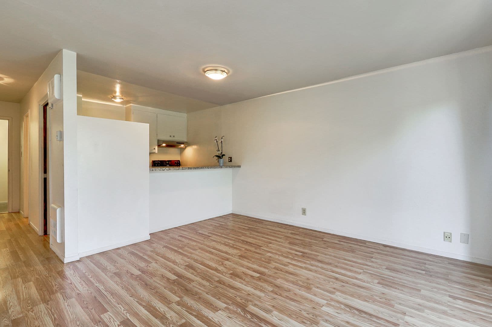 Oakland Condo: 425 Orange Street