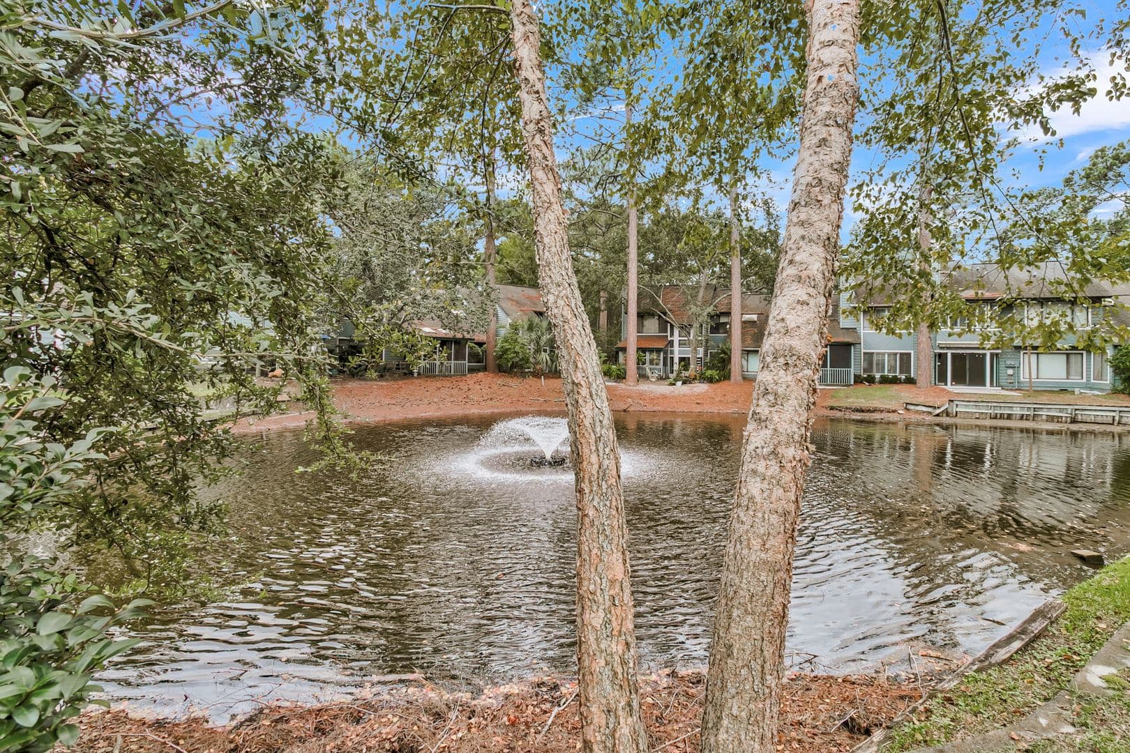 Mt Pleasant House: 1105 Hidden Cove Dr