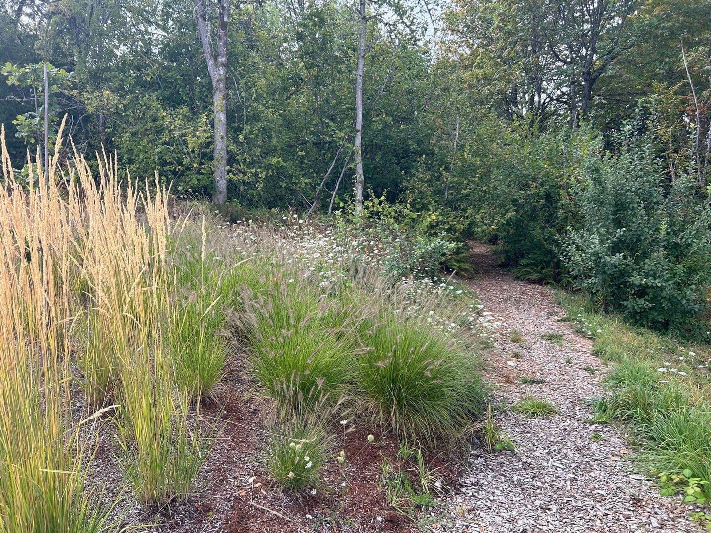 Tigard House: 15271 SW 168th Avenue