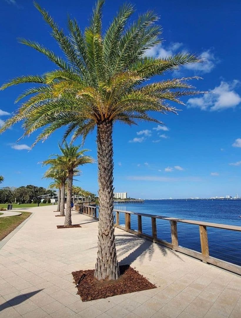 Port Orange Apartment: 305 Magnolia Street