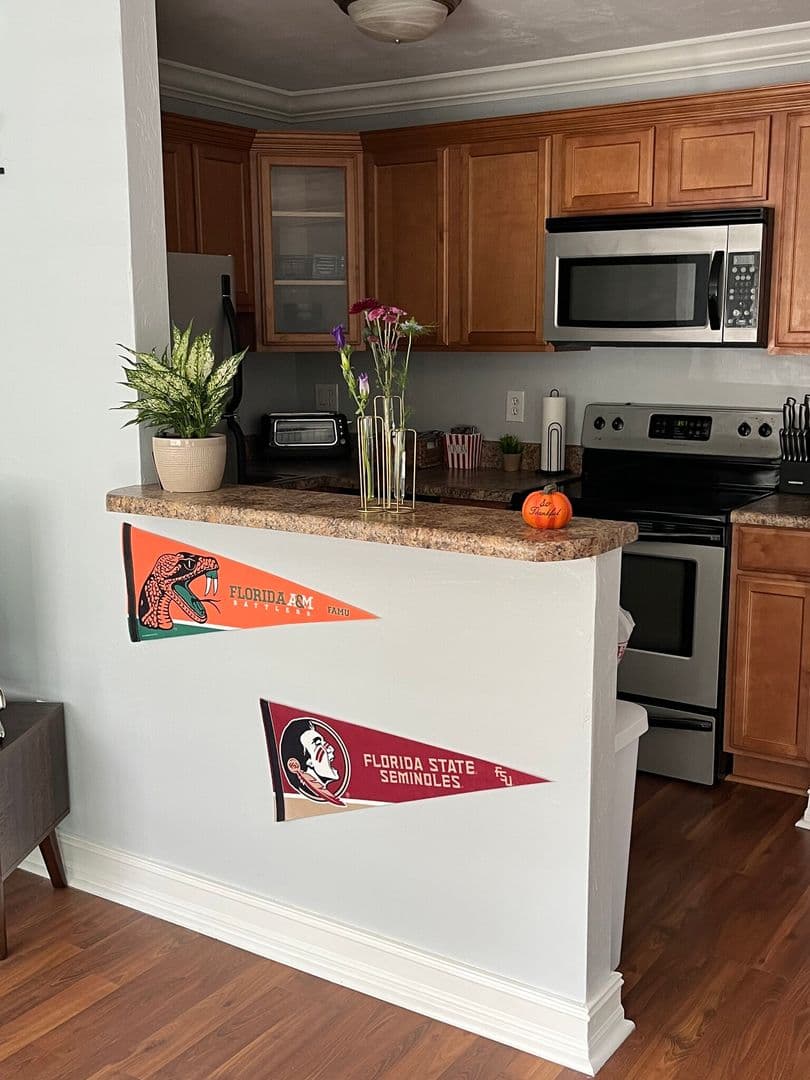 Tallahassee Apartment: 119 Cadiz Street