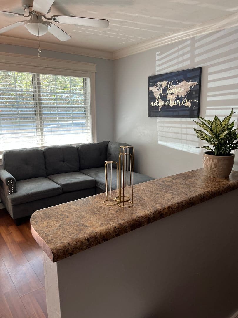 Tallahassee Apartment: 119 Cadiz Street