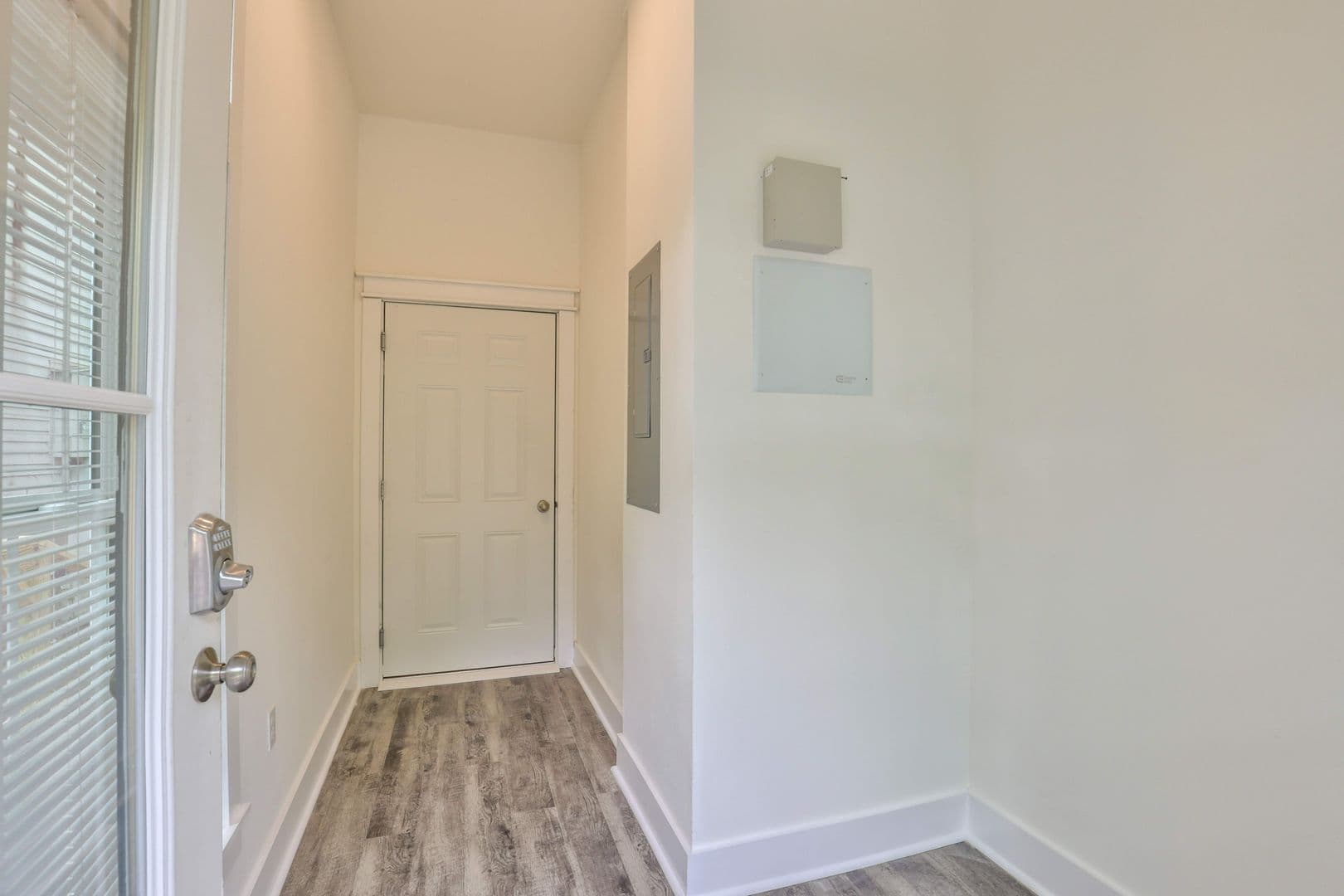 Tallahassee Apartment: 429 St. Francis Street