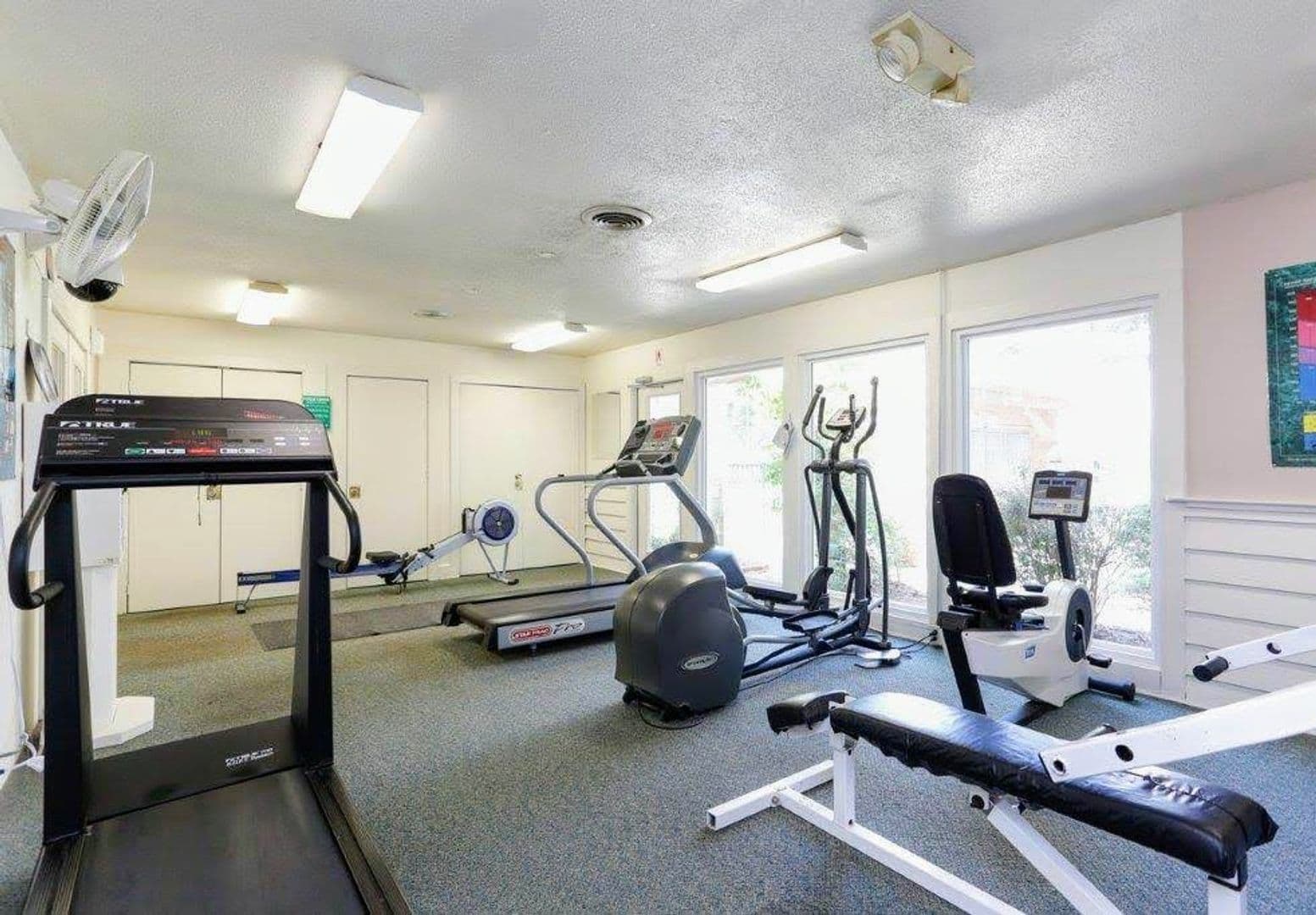 Charlotte Apartment: Delane Avenue