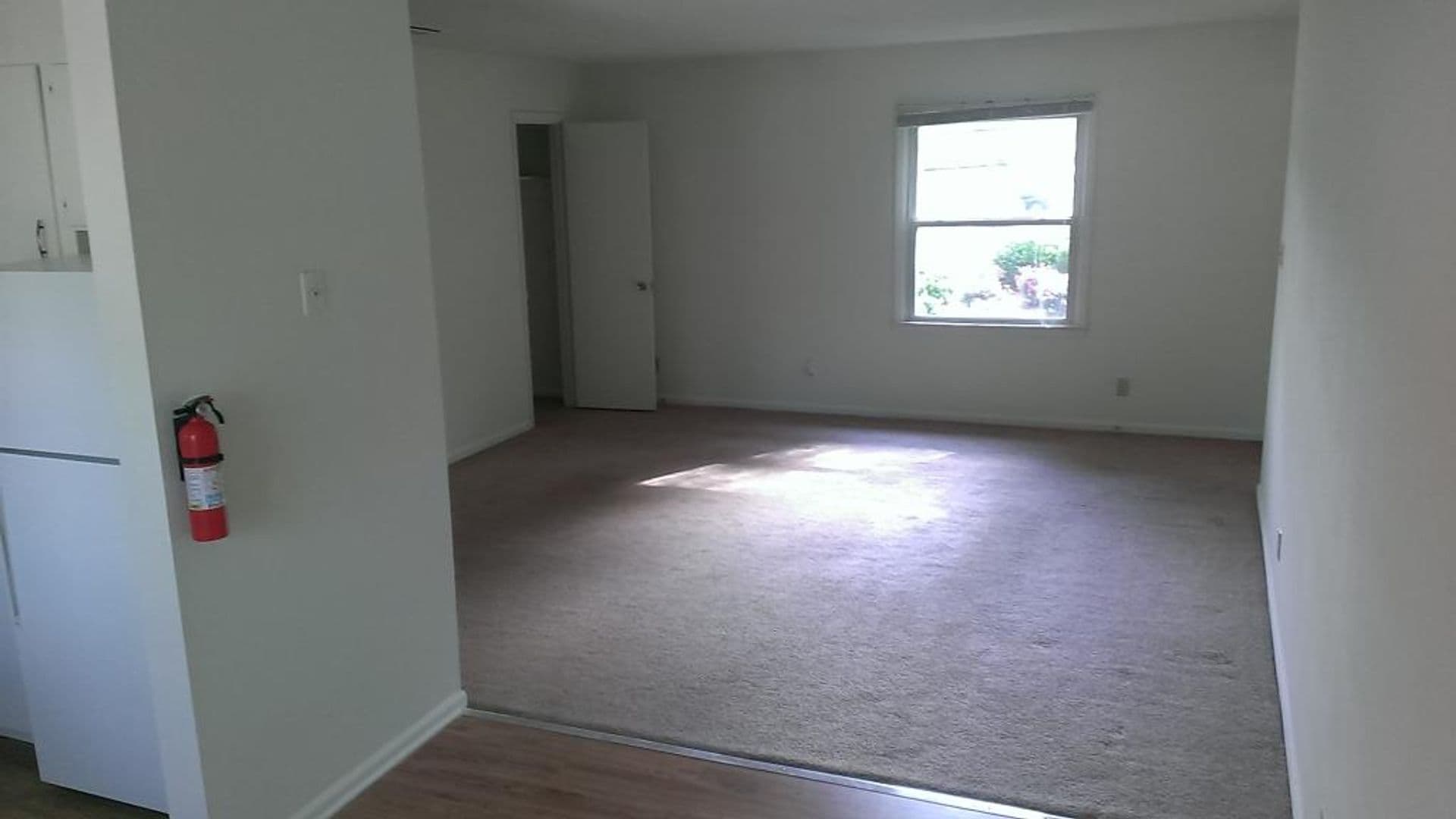 Charlotte Apartment: Delane Avenue