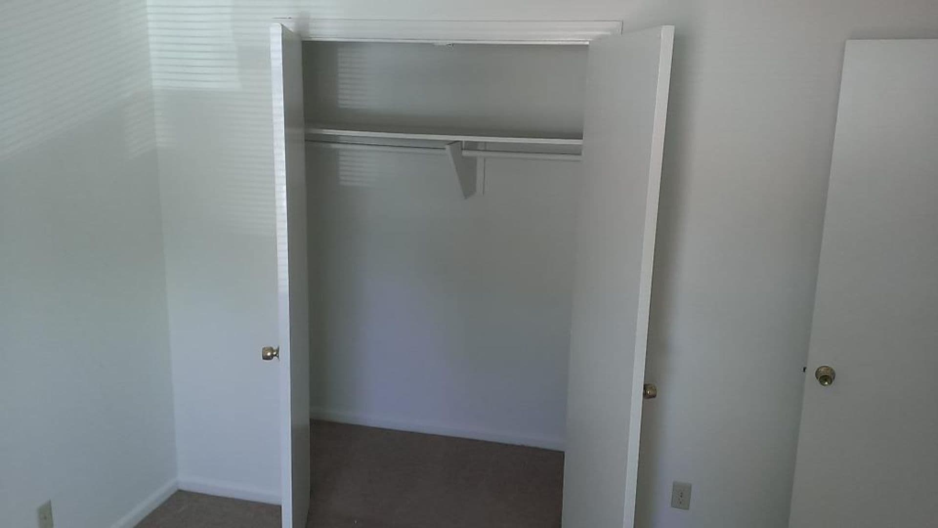 Charlotte Apartment: Delane Avenue