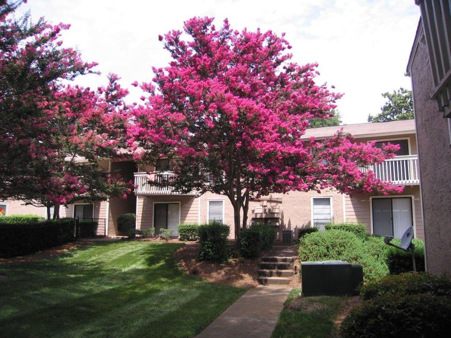 Charlotte Apartment: Delane Avenue