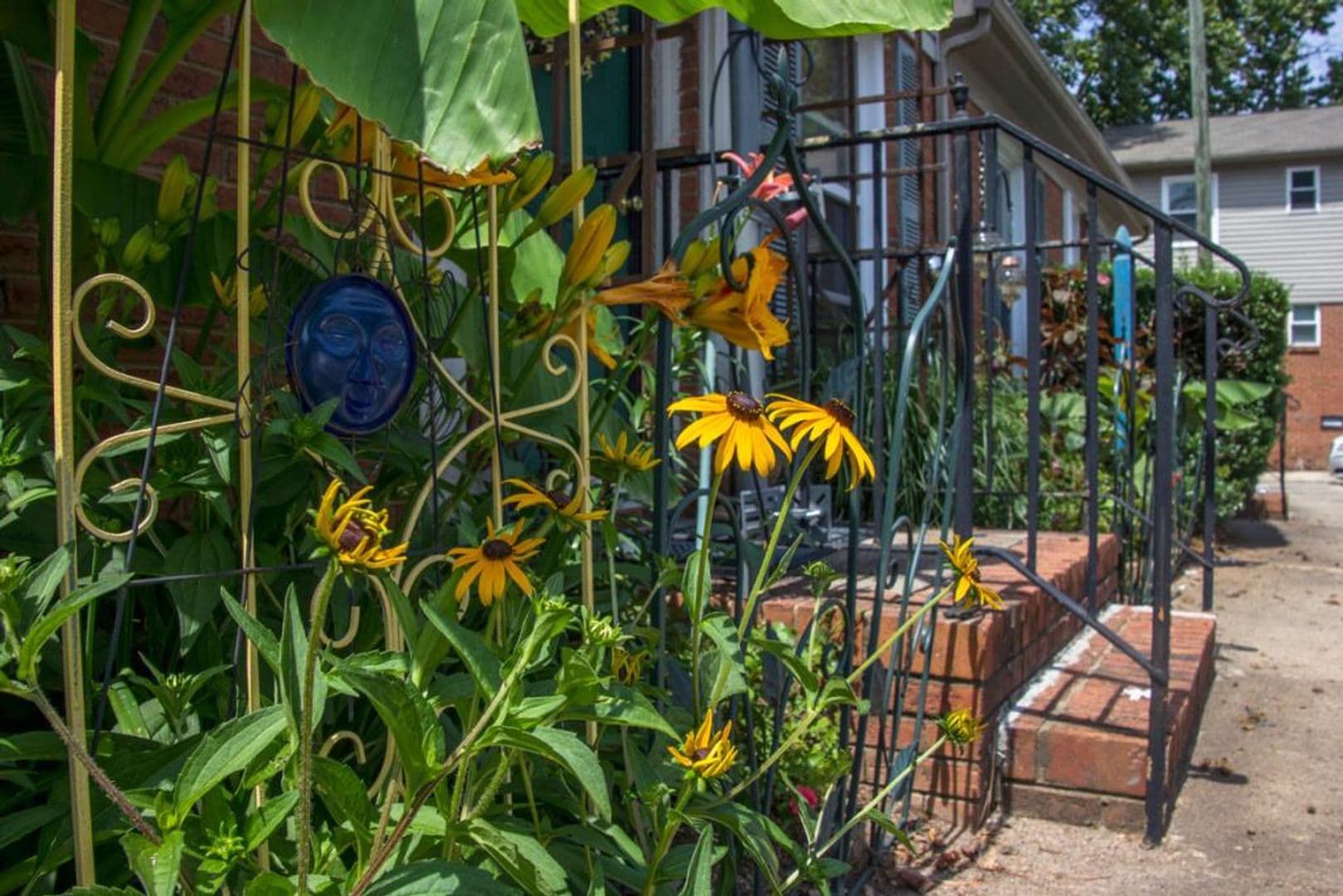 Charlotte Apartment: Delane Avenue
