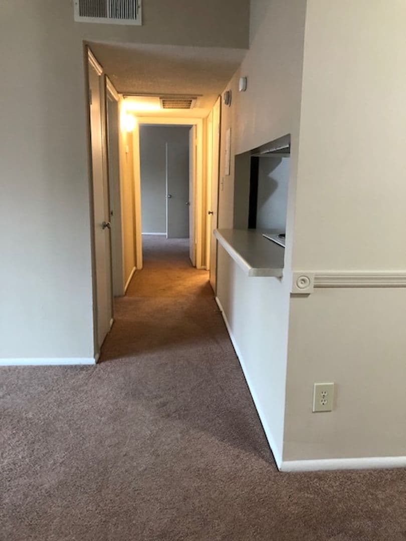 Charlotte Apartment: Delane Avenue
