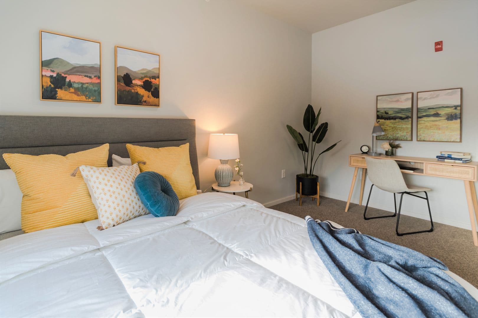 Rochester Apartment: 6520 Clarkia Drive NW