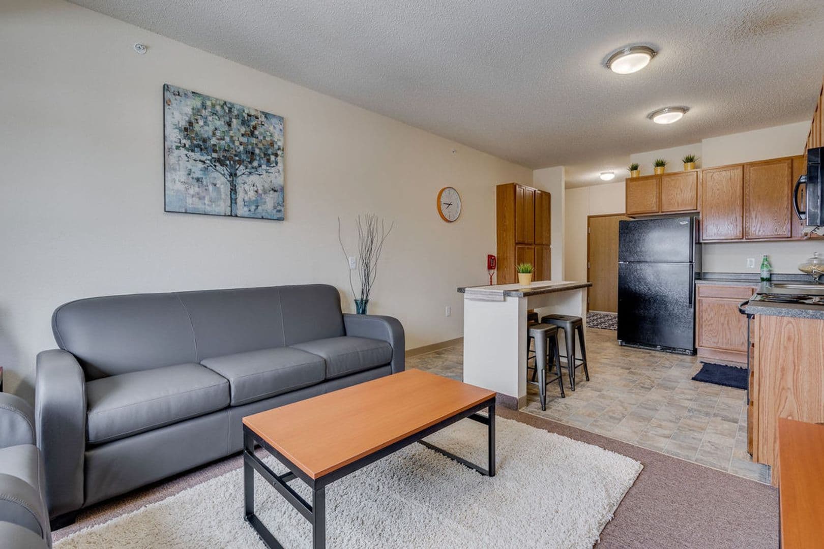 Saint Cloud Apartment: 305 5TH AVE S STE 100