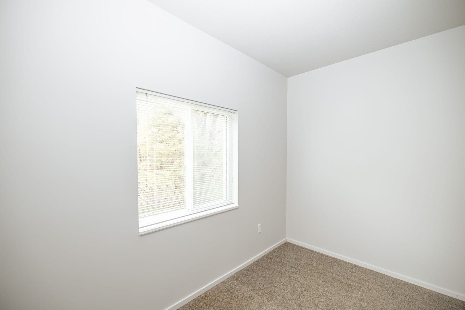 Rochester Apartment: 6520 Clarkia Drive NW