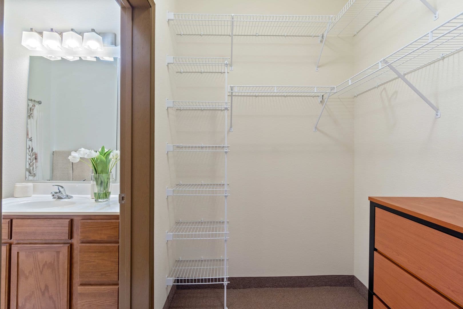 Saint Cloud Apartment: 305 5TH AVE S STE 100