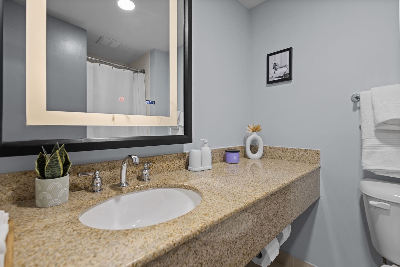Warwick Apartment: 1850 Post Road