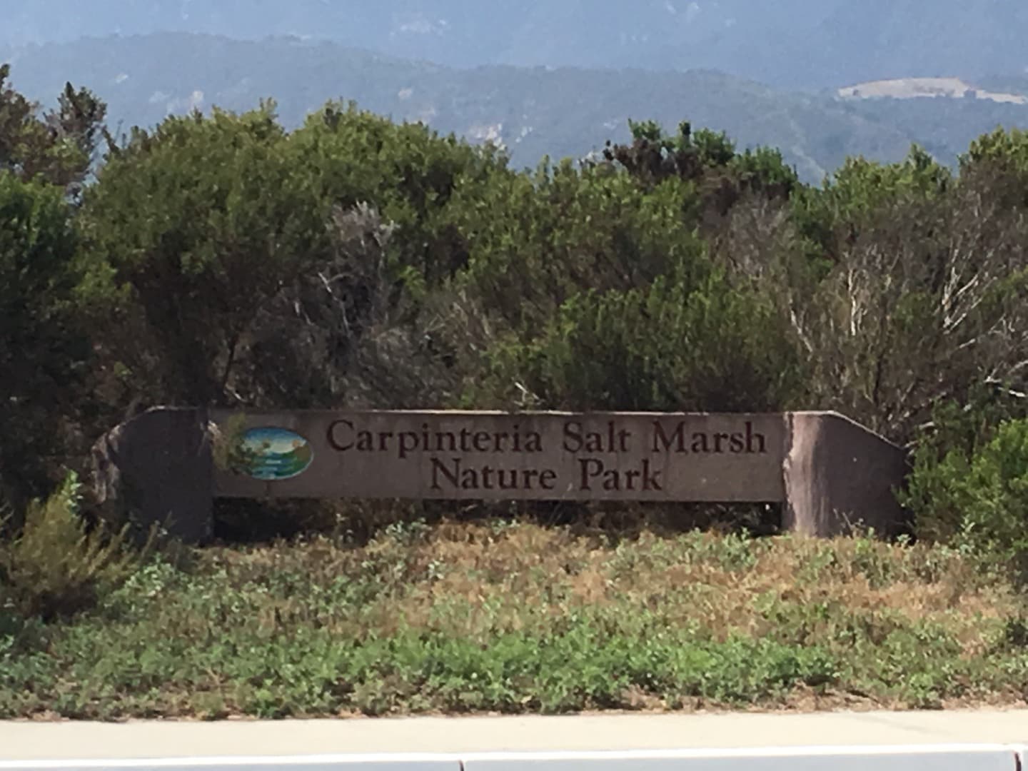 Carpenteria Condo: 130 Ash Avenue #8