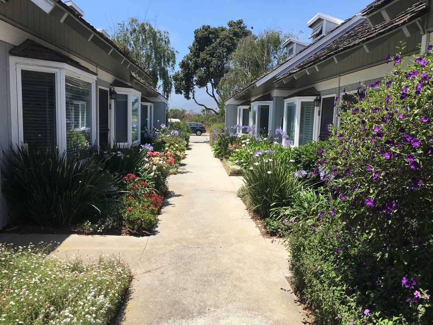 Carpenteria Condo: 130 Ash Avenue #8