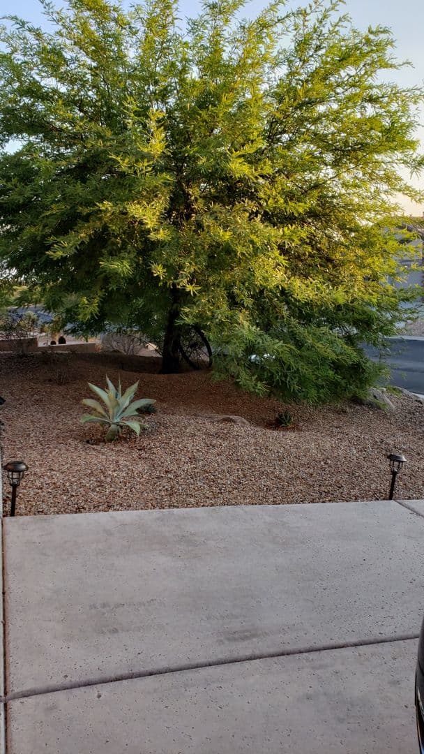 Lake Havasu City House: 3582 Swilican Bridge Rd